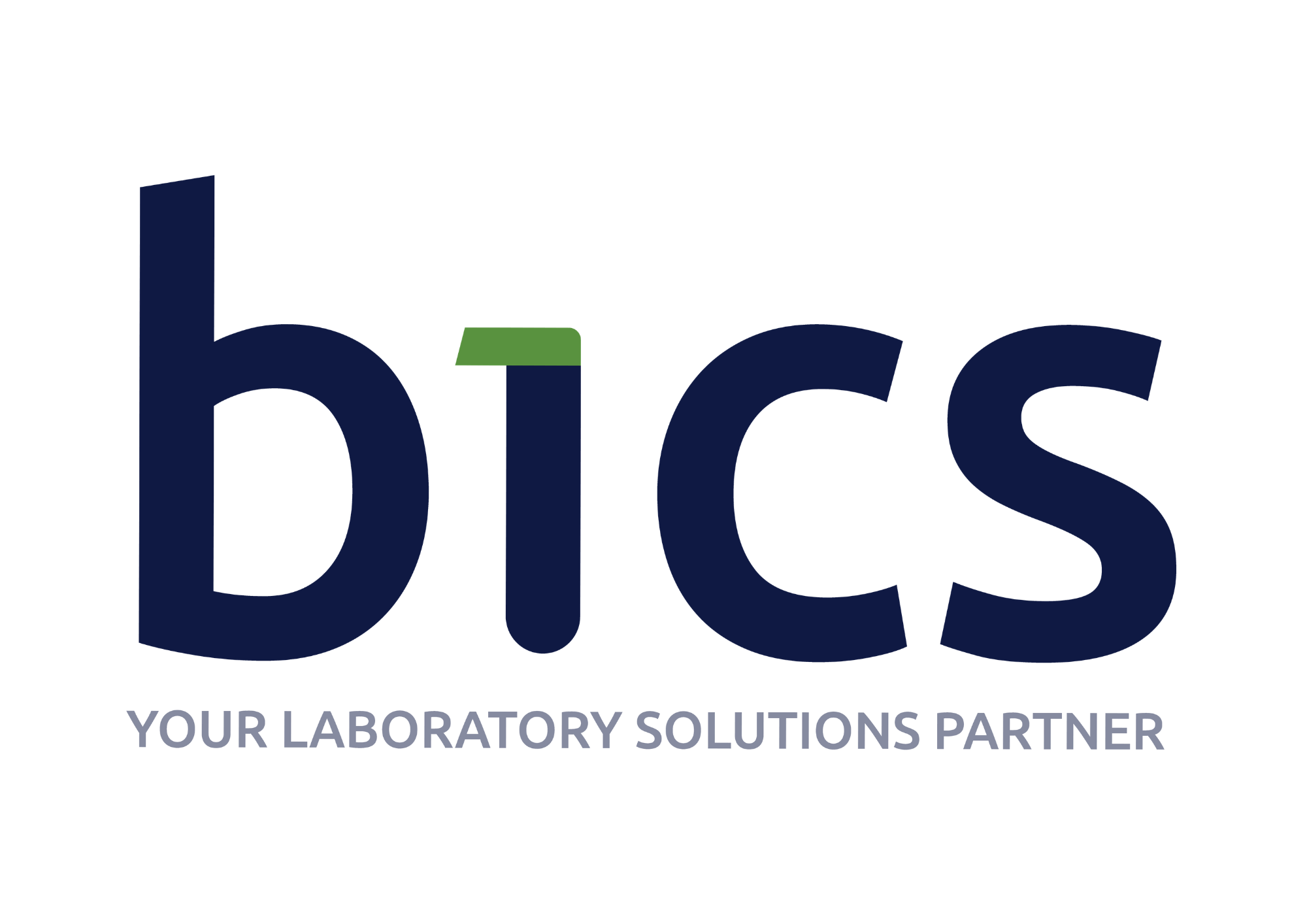 BICS — Bashumi Instruments & Control Services